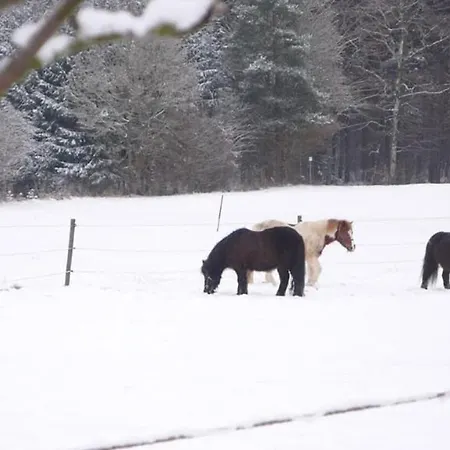 Schlag * Waldmuenchen